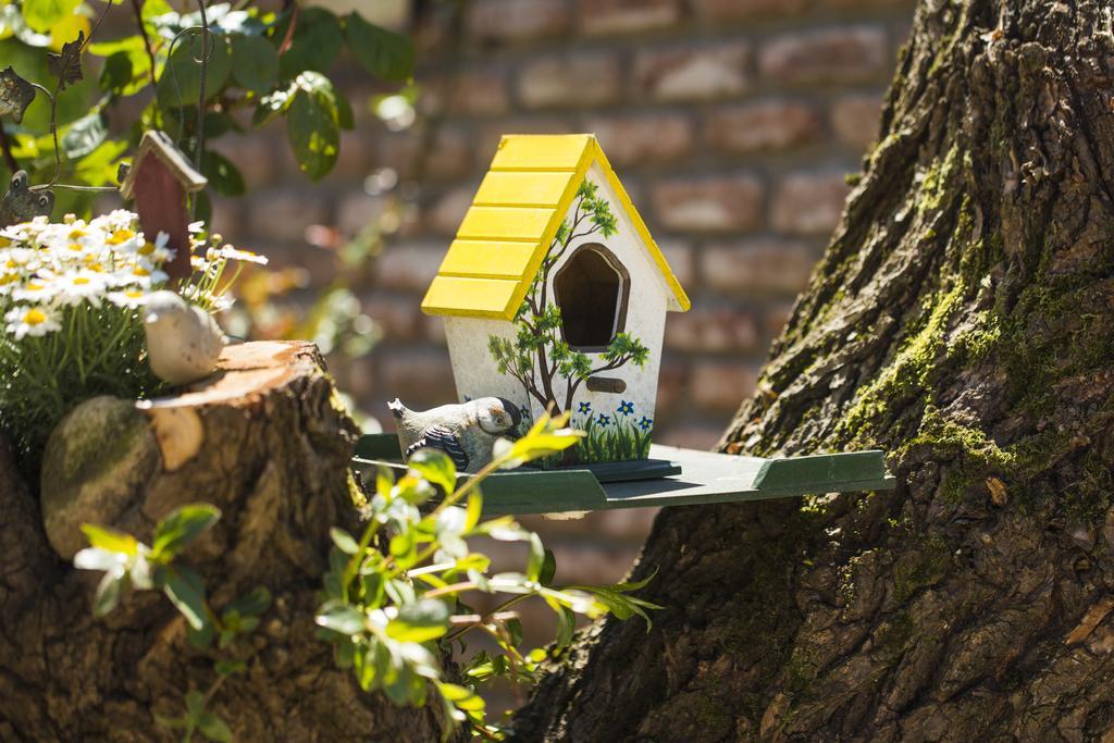 Agva Greenline Guesthouse (Adults Only) Zewnętrze zdjęcie